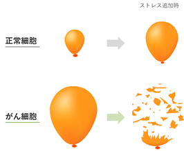 0201010_005.png