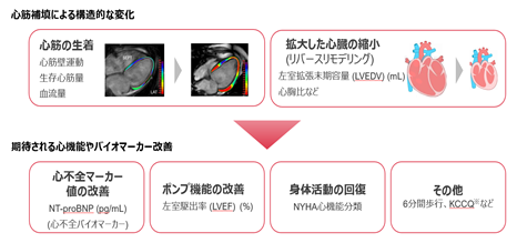 0201010_027.png